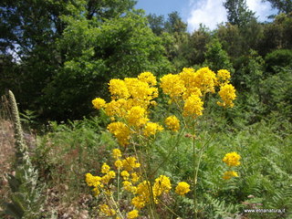 anobello-26-05-2013 10-25-17